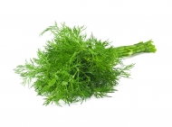 shutterstock_82756711dill