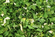 leek27