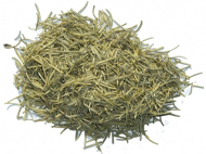 rosemary3