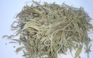 sage2