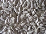 sunflower-seeds-white