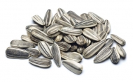 sunflowerseed-striped