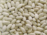 white-beans
