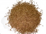 Caraway Seeds